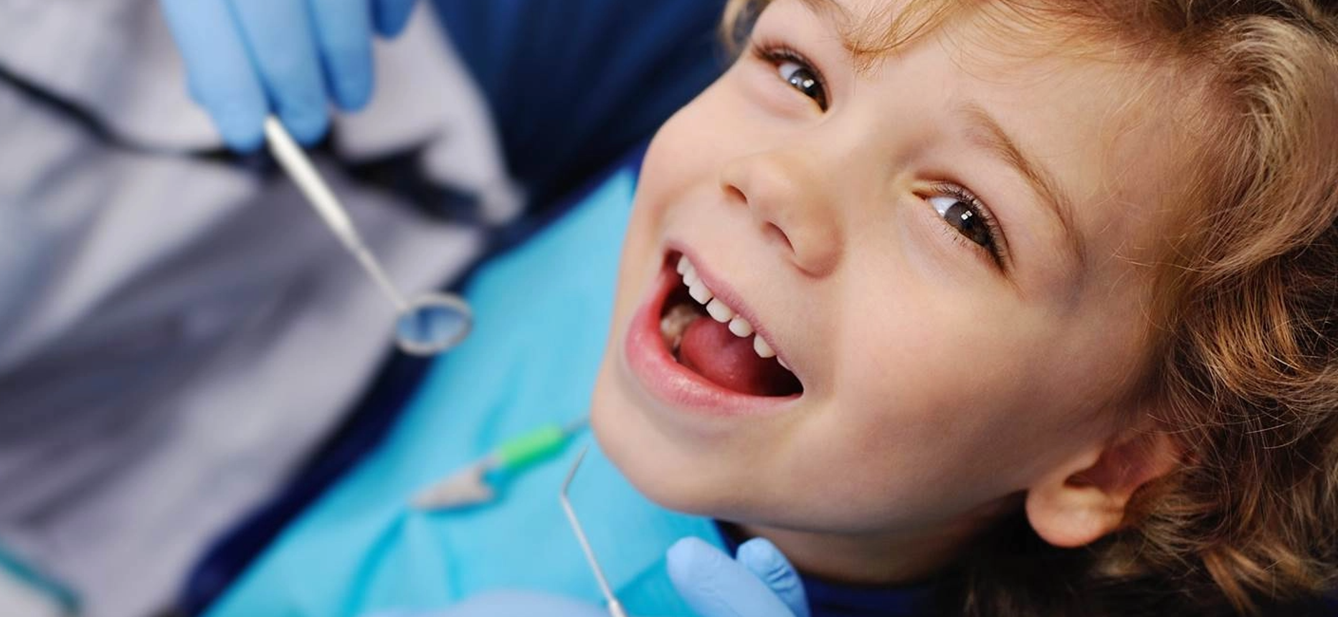 Shutterstock 5209622863